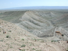 DSCN7976.JPG