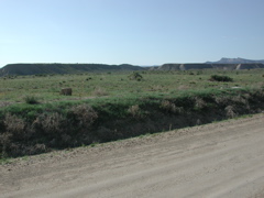 DSCN7979.JPG