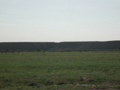 DSCN7981.JPG