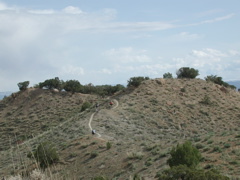 DSCN7944.JPG