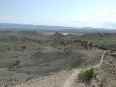 DSCN7946.JPG