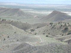 DSCN7947.JPG