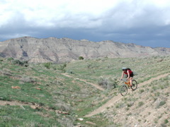 DSCN7949.JPG