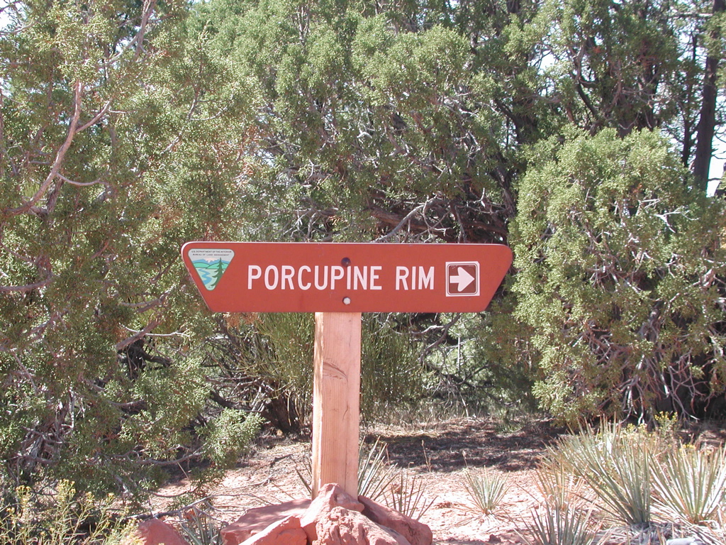 DSCN7019.JPG