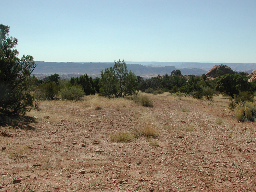 DSCN7022.JPG