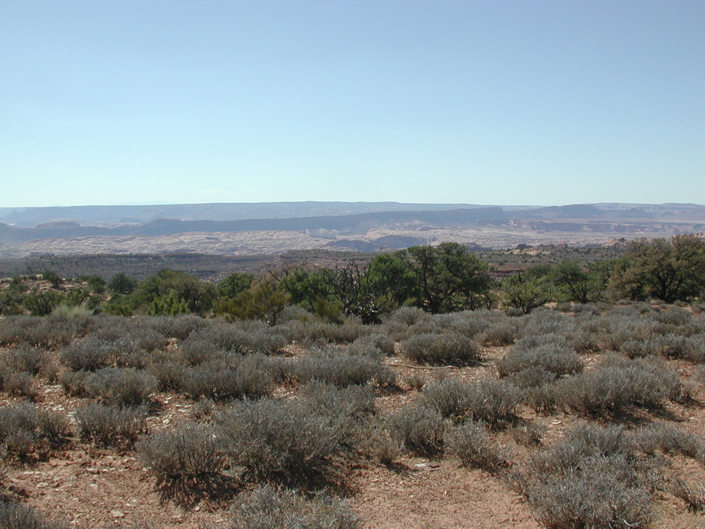DSCN7024.JPG