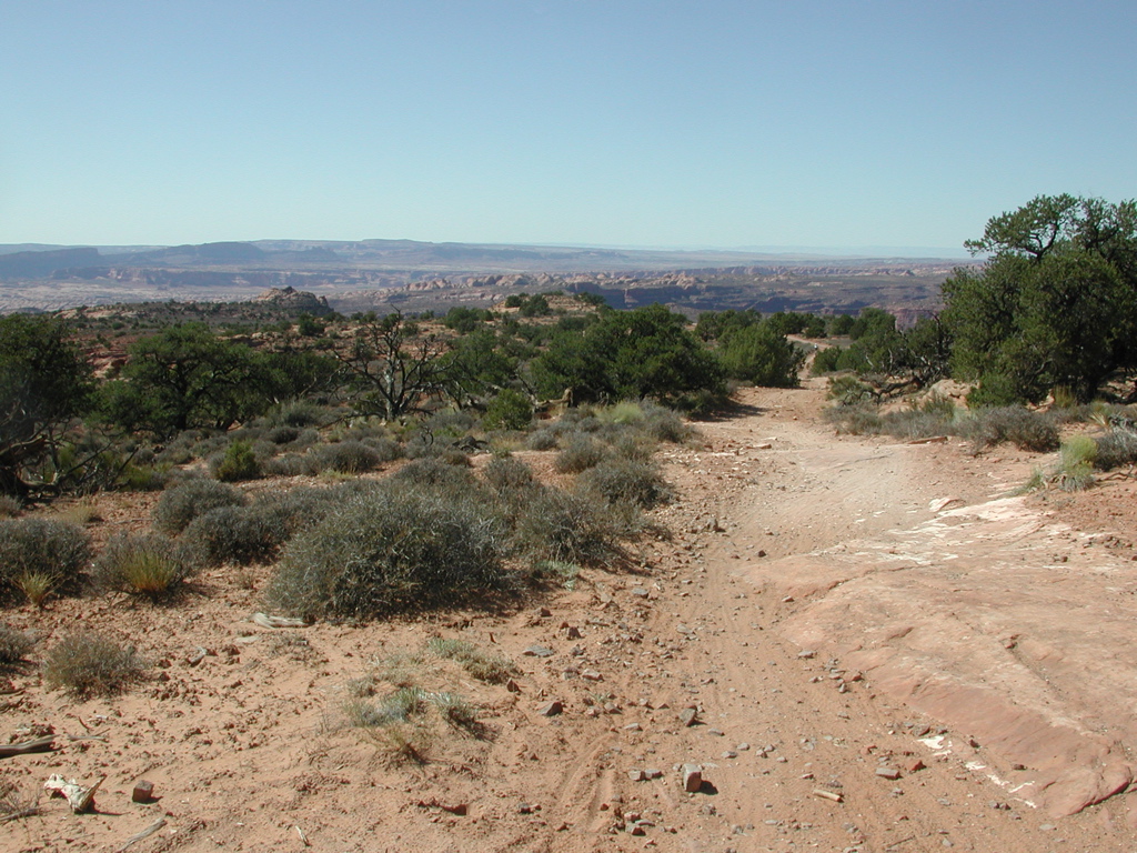 DSCN7026.JPG
