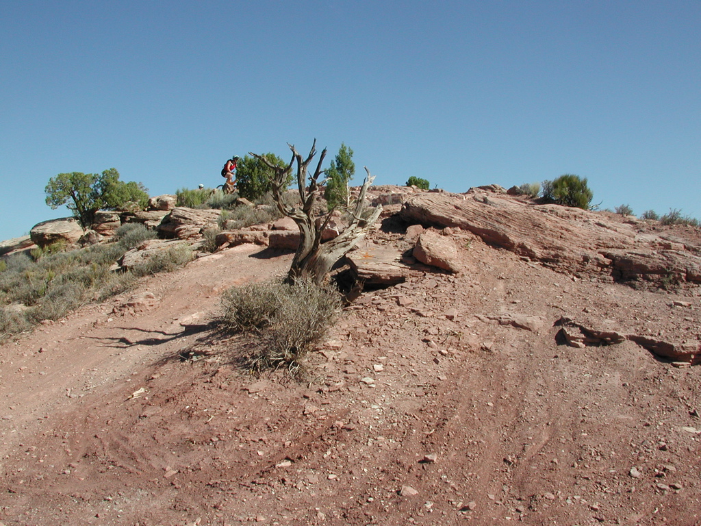 DSCN7032.JPG