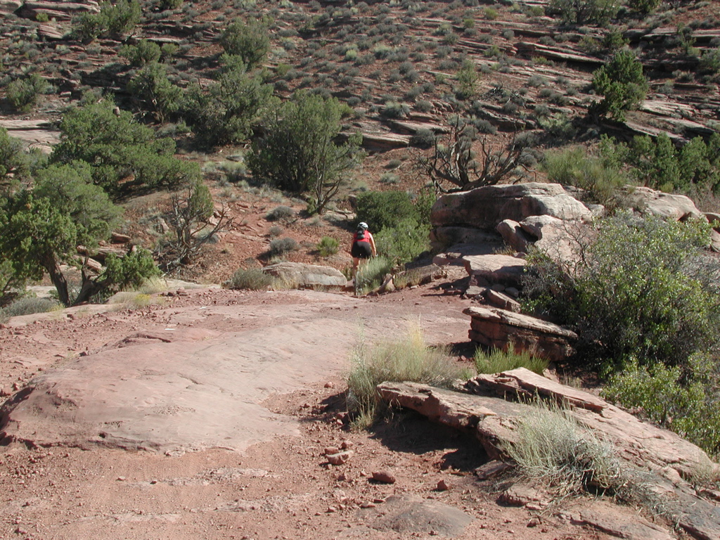 DSCN7035.JPG