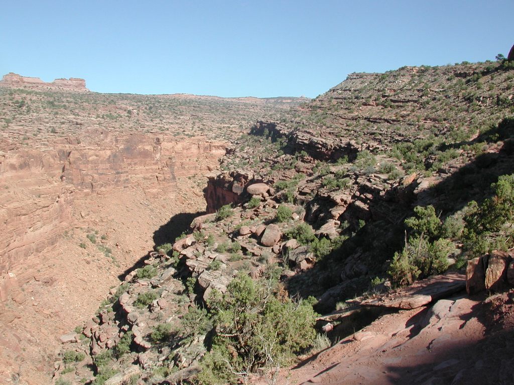DSCN7039.JPG