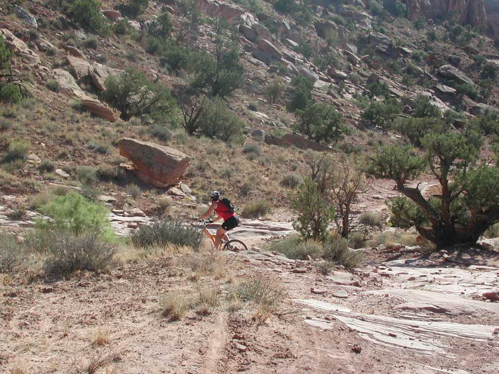 DSCN7044.JPG