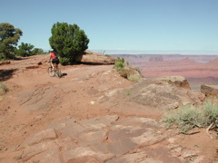 DSCN7017.JPG