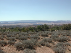 DSCN7024.JPG