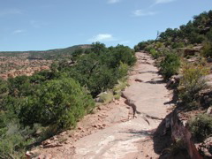 DSCN6998.JPG