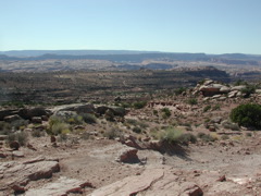 DSCN7030.JPG