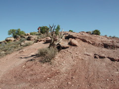 DSCN7032.JPG