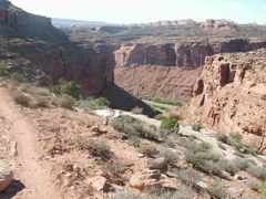 DSCN7036.JPG