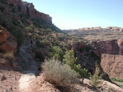 DSCN7037.JPG