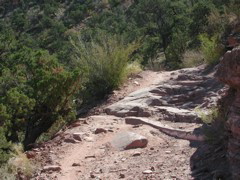 DSCN6999.JPG