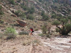 DSCN7044.JPG