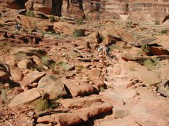 DSCN7045.JPG