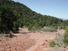 DSCN7000.JPG