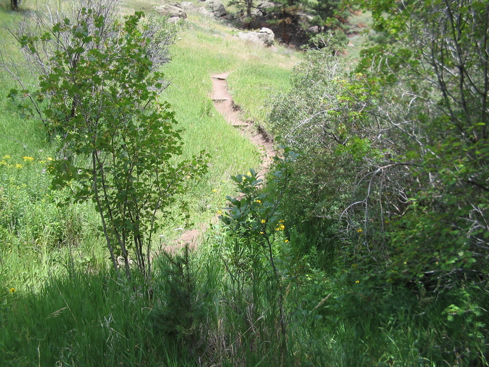 IMG_0148.JPG