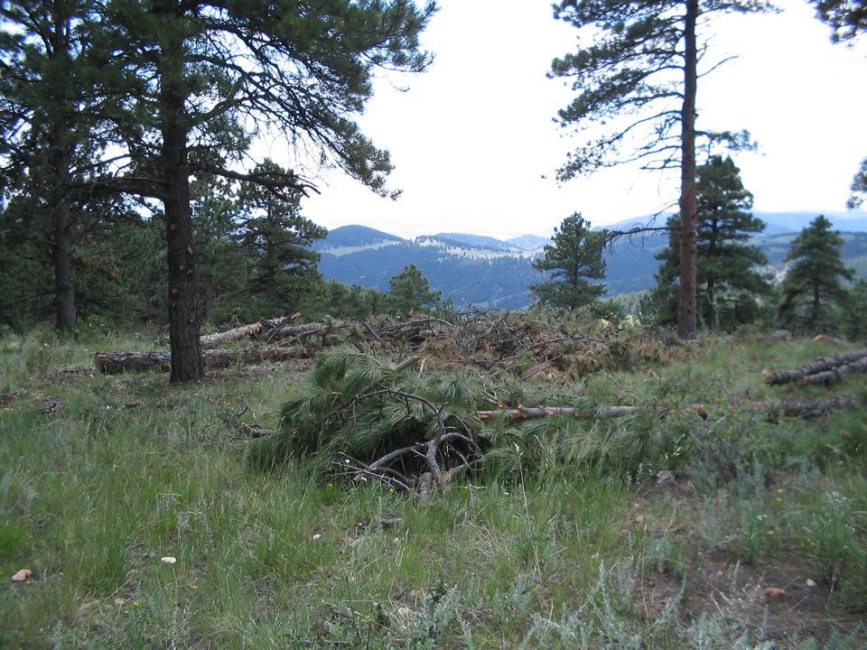 IMG_0137.JPG