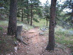 IMG_0141.JPG