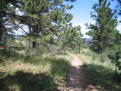 IMG_0142.JPG