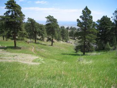 IMG_0144.JPG