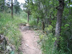 IMG_0147.JPG