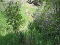IMG_0148.JPG