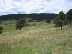 IMG_0153.JPG