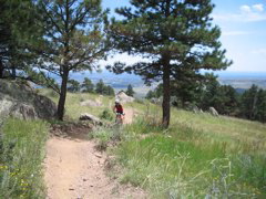 IMG_0154.JPG