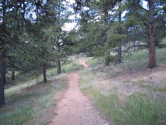 IMG_0132.JPG