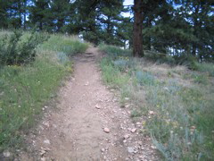 IMG_0133.JPG