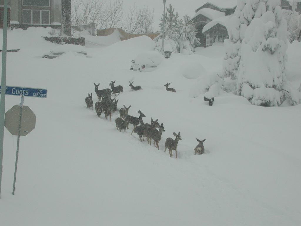 DSCN5850.JPG