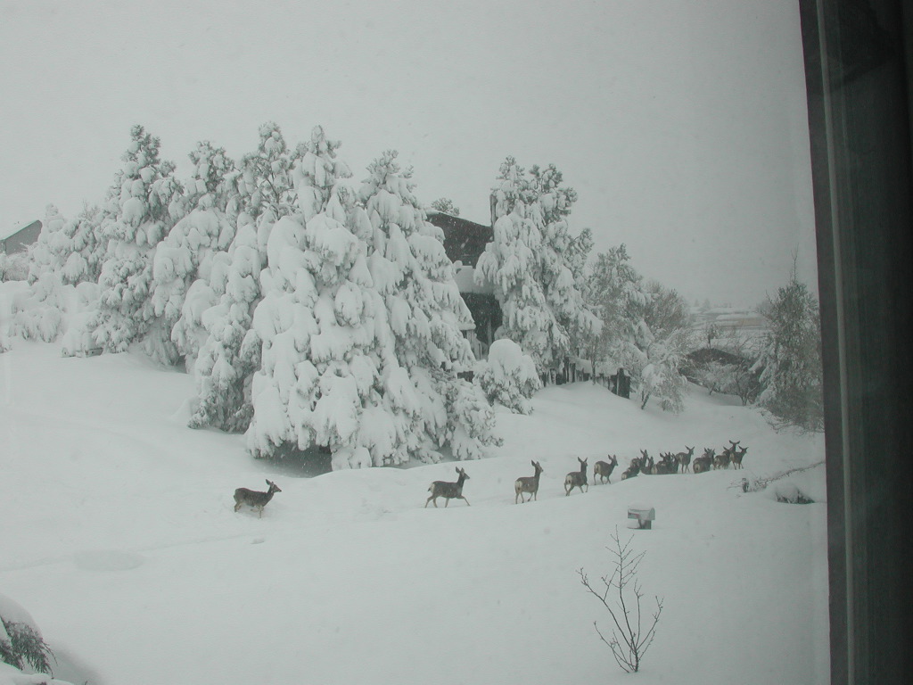 DSCN5852.JPG