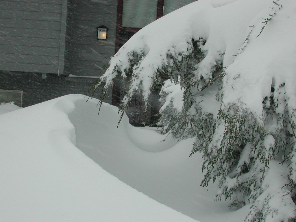 DSCN5831.JPG