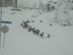 DSCN5850.JPG