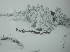 DSCN5851.JPG