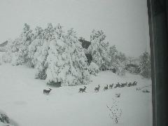 DSCN5852.JPG