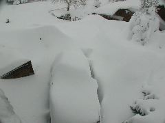 DSCN5854.JPG
