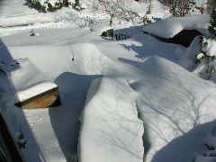 DSCN5858.JPG