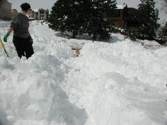 DSCN5865.JPG