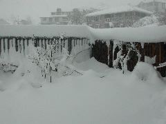 DSCN5829.JPG
