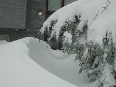 DSCN5831.JPG