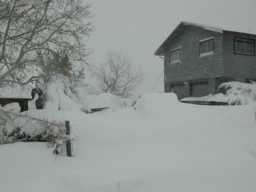 Snow2003