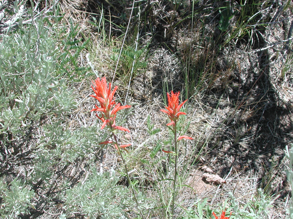 DSCN0043.JPG